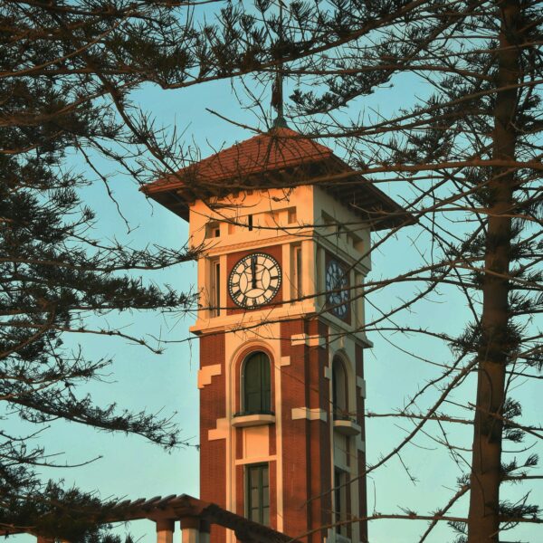 Day Tour To Alexandria From Cairo